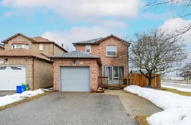 Newly Renovated Basement Apartment for Rent