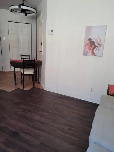 Appartment 3 1/2 to rent downtown/ UQAM