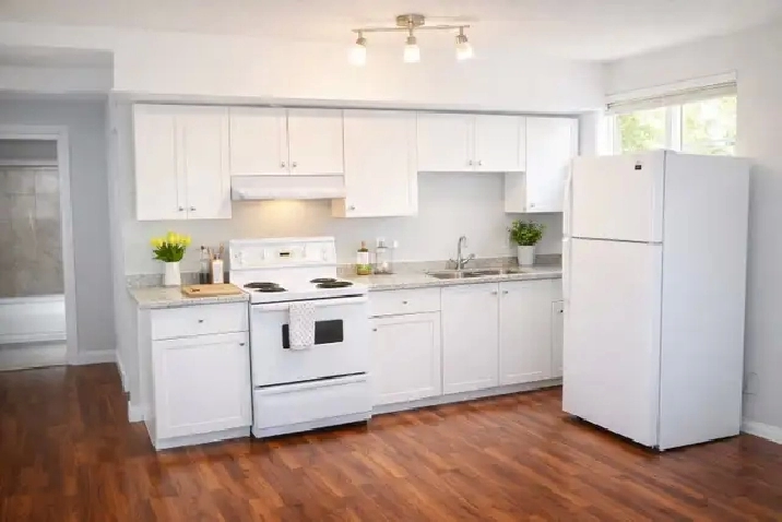 Two Bedroom legal basement in Saddlecrest NE