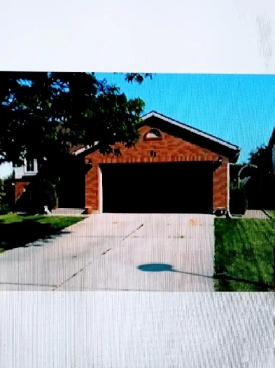 Room for rent near Lambton College