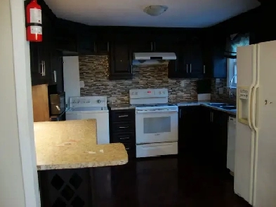 One basement room available for rent in a house near UTSC