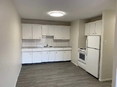 1-Bedroom Suite for Rent: