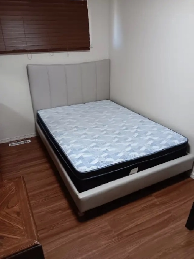 Room For Rent in Windsor Park