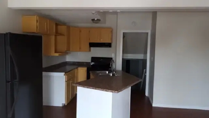 Spacious Split Level 1 Bedroom Basement with Storage & Fireplace