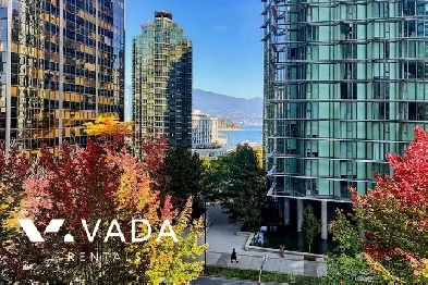 The Lions 1 BR APT Rental 405-1331 Alberni St Vancouver: VADA