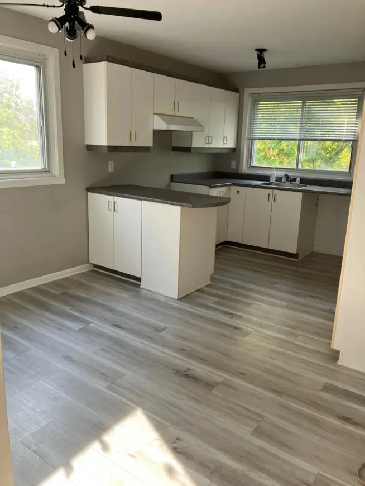 4 1/2 Pointe-aux-Trembles, libre, 1150 $