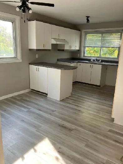 4 1/2 Pointe-aux-Trembles, libre, 1150 $