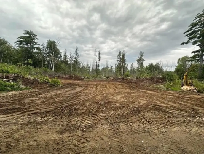 10 acres forsale fernleigh