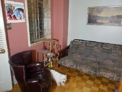 Room for rent ner metro fabre