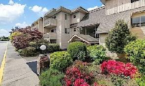 1-Bedroom in North Delta (88th/120th) - Oct 15/Nov 1