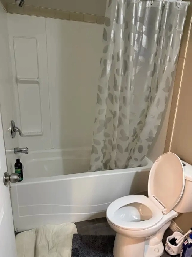 Basement for Rent in Calgary NE