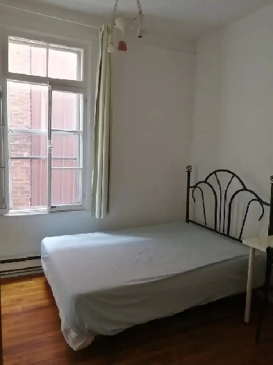 non smoker boy student room beside metro frontenac available now