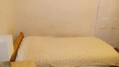 Cozy furnished room downtown available November 1 - female only