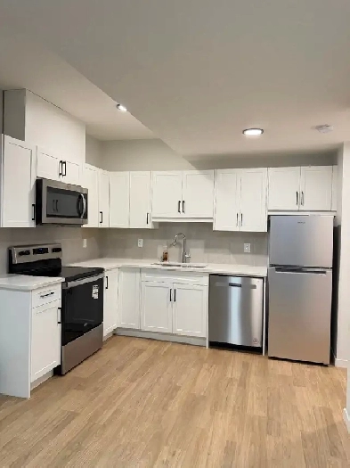 Basement for rent in Calgary NE