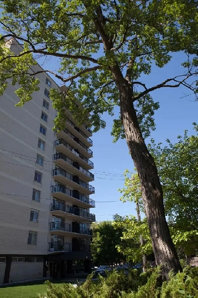 December  two  bed  in  Rockcliffe Park only $1799.00