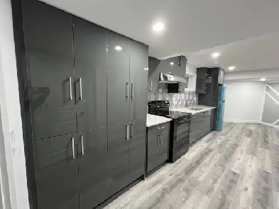New Basement for Rent in Laurel