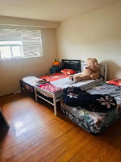 Room rent for Boy