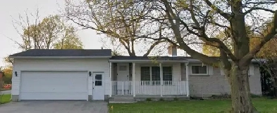 Lovely 1 bedroom basement apartment