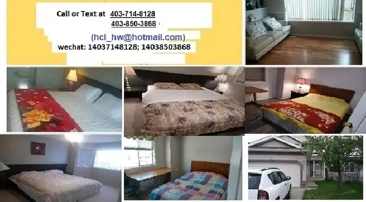 Room Rental  in NW Calgary