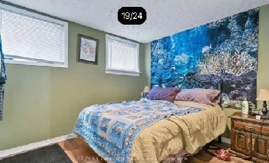 Georgian College Barrie: 1 Private Rool For Rent from 1st Nov