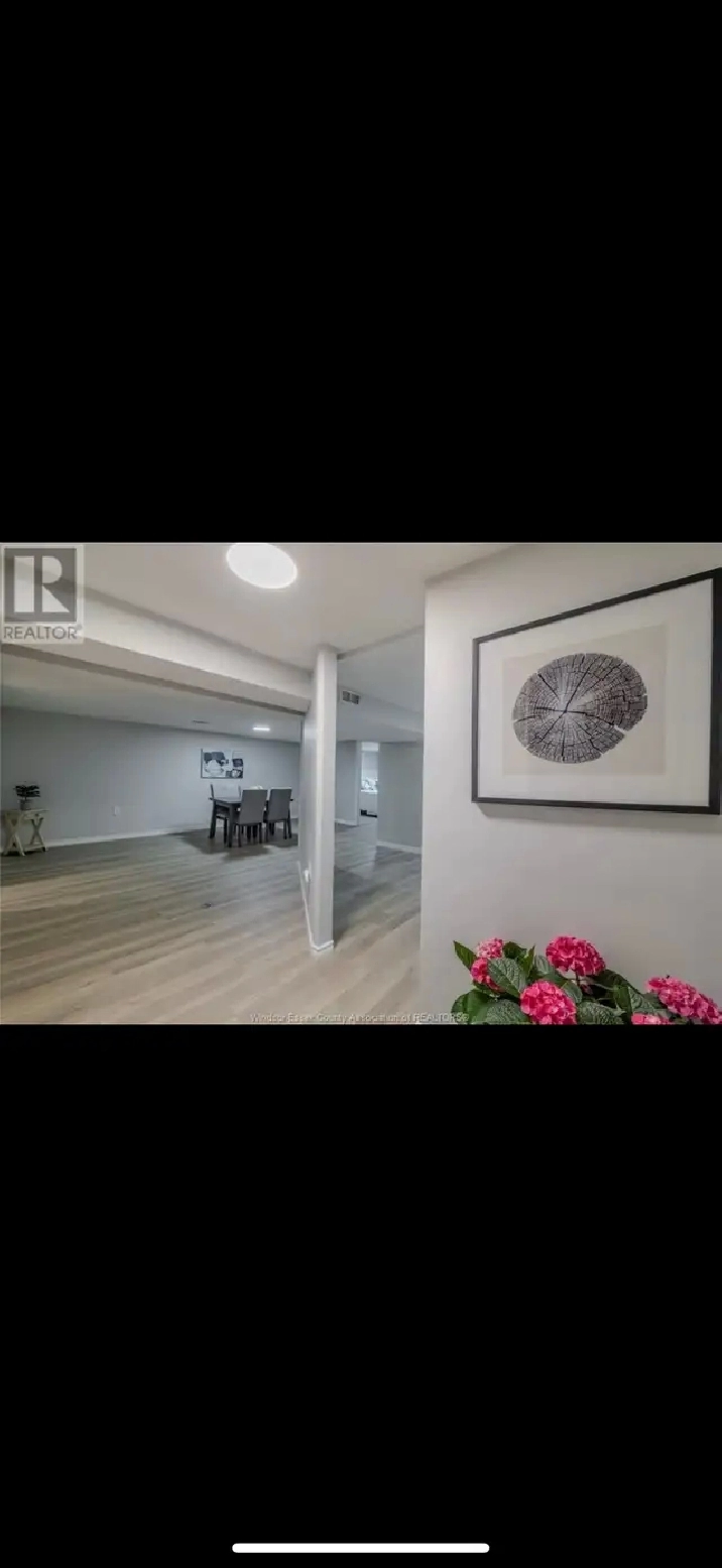 2BR Newly Renovated Basement Near St. Clair College