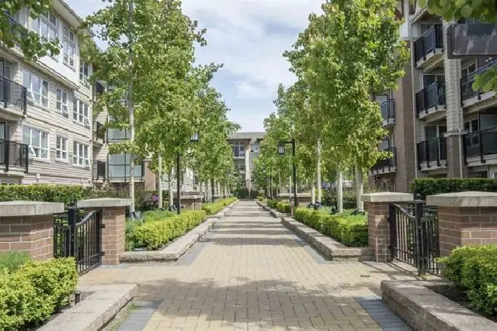 1 Bedroom   1 Big Den (For Rent in Richmond)