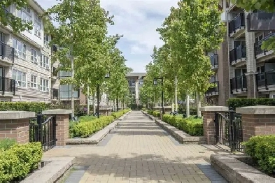 1 Bedroom   1 Big Den (For Rent in Richmond)