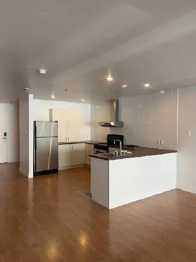 1,100 ft² Open-Concept Loft for Rent –Plateau Mont Royal