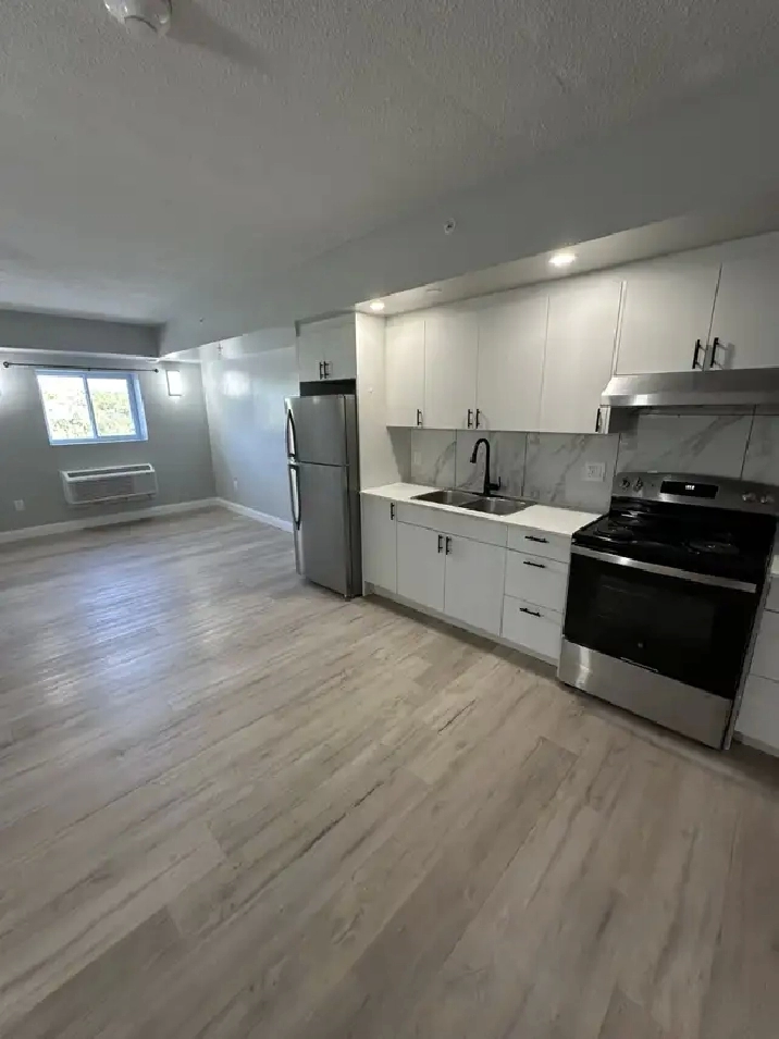 Brand New One Bedroom in Minnow Lake Utilities Included
