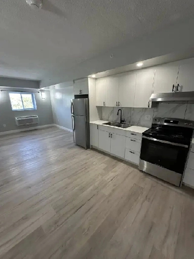 Brand New One Bedroom in Minnow Lake Utilities Included