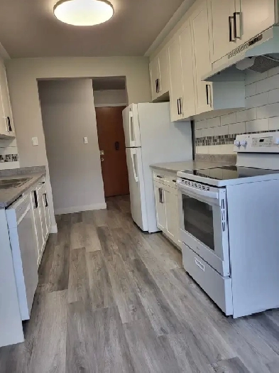 Spacious 2 Bedroom Apartment for Rent October 15th