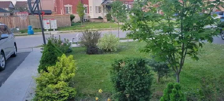 House for Rent