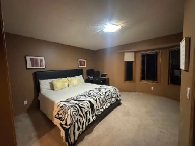 room for rent