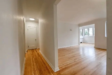 Renovated 1-bedroom apartment near UDEM - ID 4765