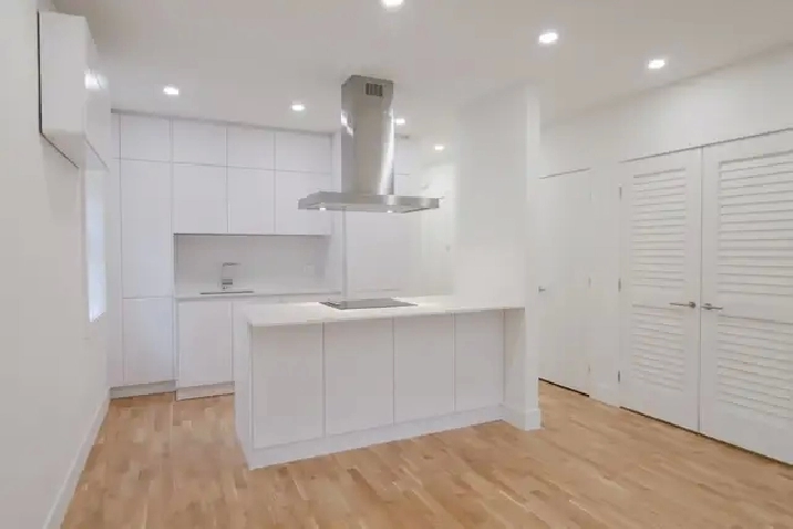 renovated one-bedroom apartment near Concordia - ID 331