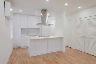 renovated one-bedroom apartment near Concordia - ID 331