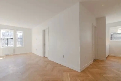 modern one-bedroom apartment on Sherbrooke near Guy - ID 2152