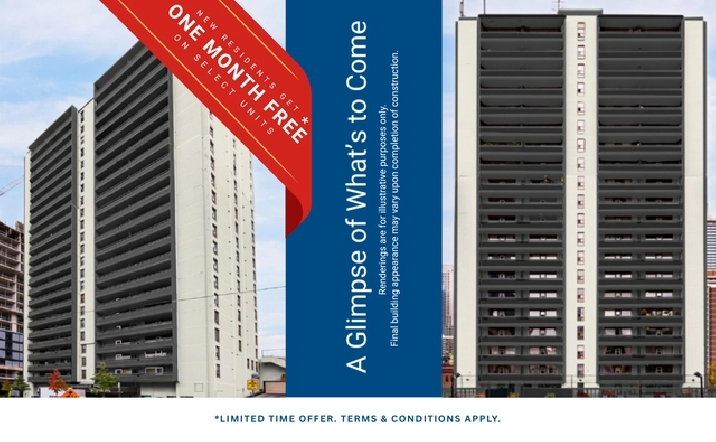 bach Apartment for Rent - 15 Dundonald Street