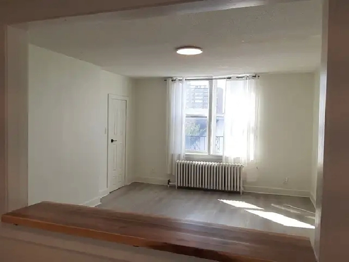 Charming studio/bachelor - heart of Elgin Street