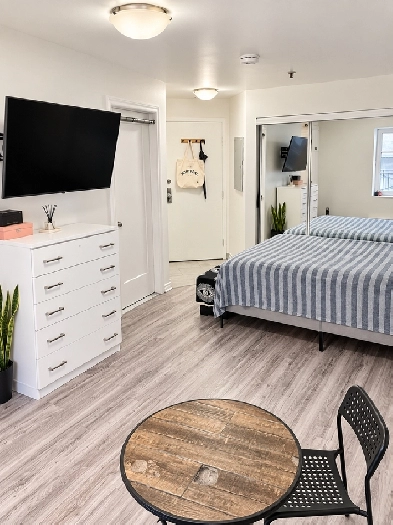 50% 1er Mois - 2 1/2 Rénové Metro Papineau Montréal Appartement