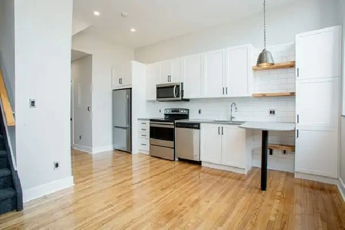 Downtown 1 Bedroom Apartment for Rent