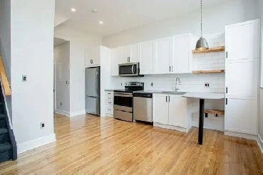 Downtown 1 Bedroom Apartment for Rent