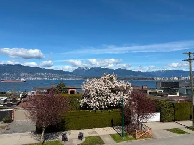 Kitsilano 1 bedroom for rent