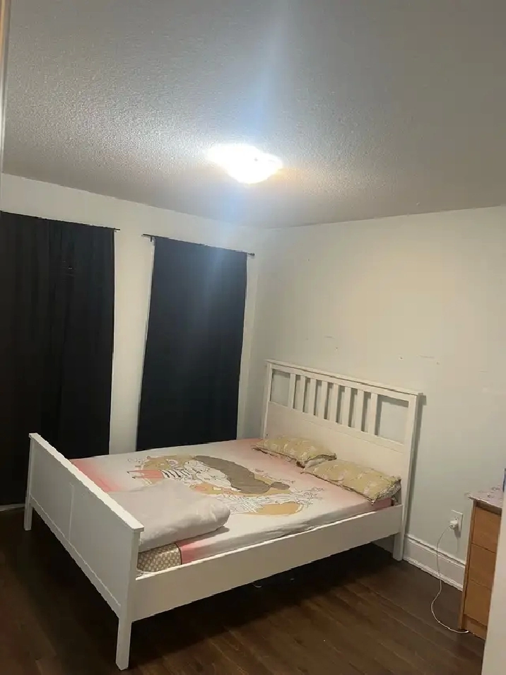 Room available for rent