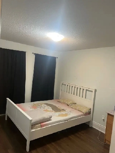 Room available for rent