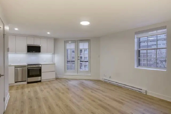 two bedroom apartment  near McGill - ID 3650