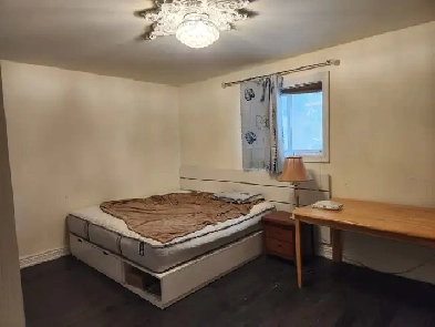 Room with a private washroom for rent,