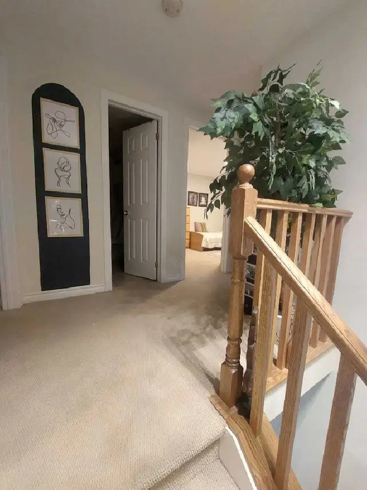 Cozy, Furnished Private Room