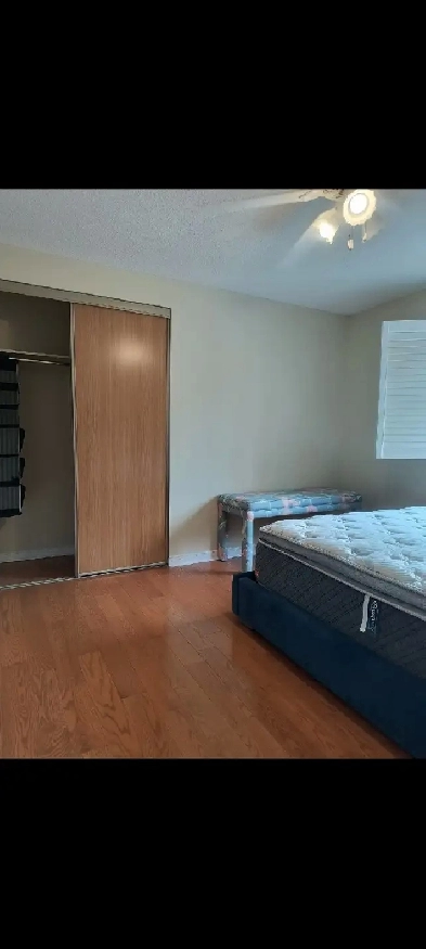 Room for rent female Occupancy