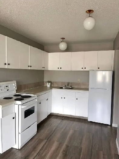 FOR RENT 1 Bd apartment -  short and long terms
